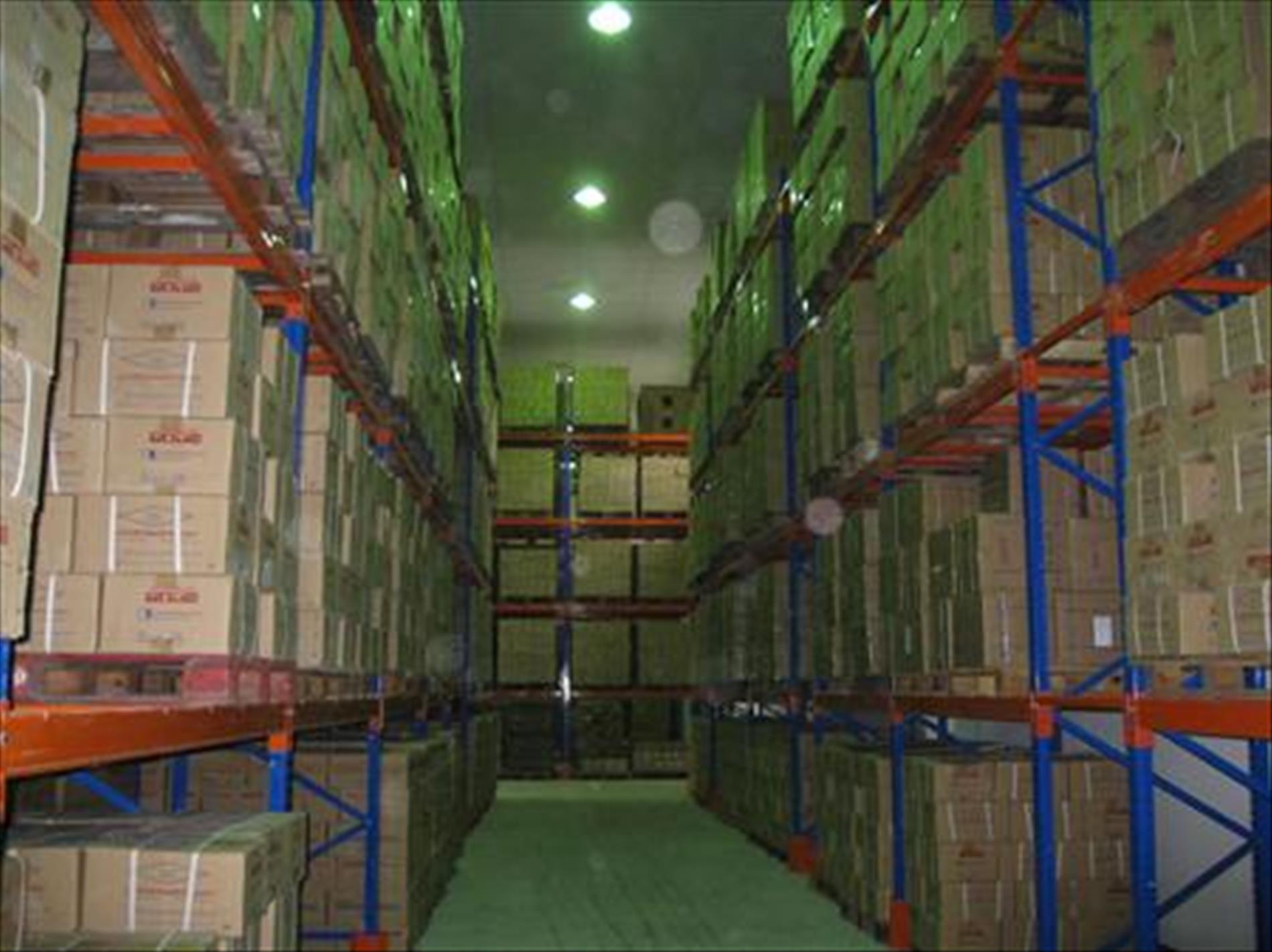 Nghiệm thu đưa vào sử dụng kệ kho, Tổng công ty Điện Lực Dầu Khí